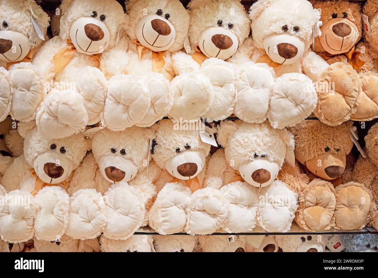 peluche di orsacchiotto bianco e marrone sul bancone di un negozio per bambini Foto Stock