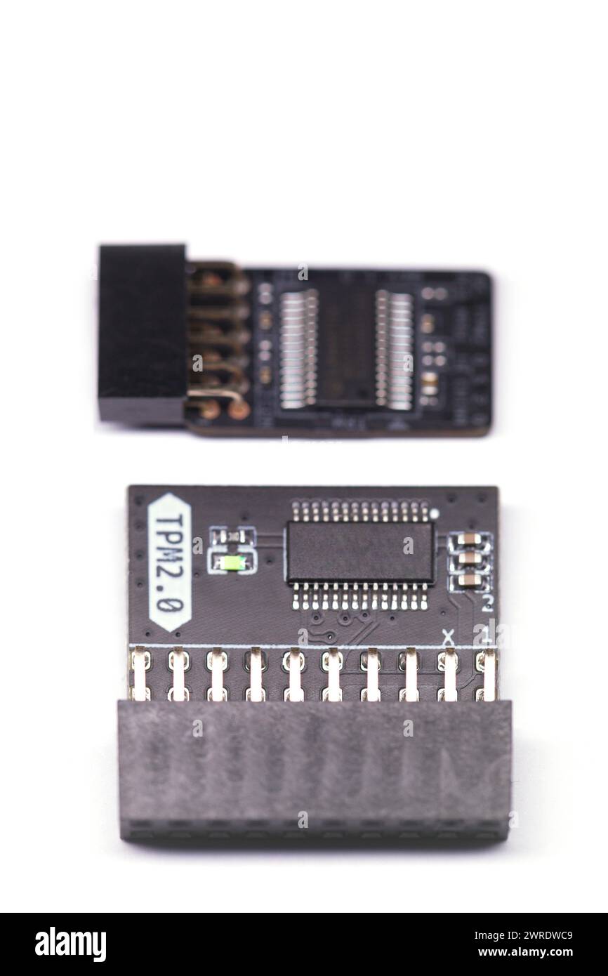 Due tipi di chip modulo TPM per schede madri Foto Stock