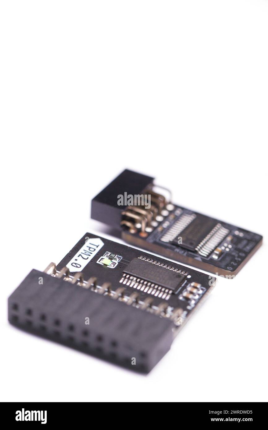 Due tipi di chip modulo TPM per schede madri Foto Stock