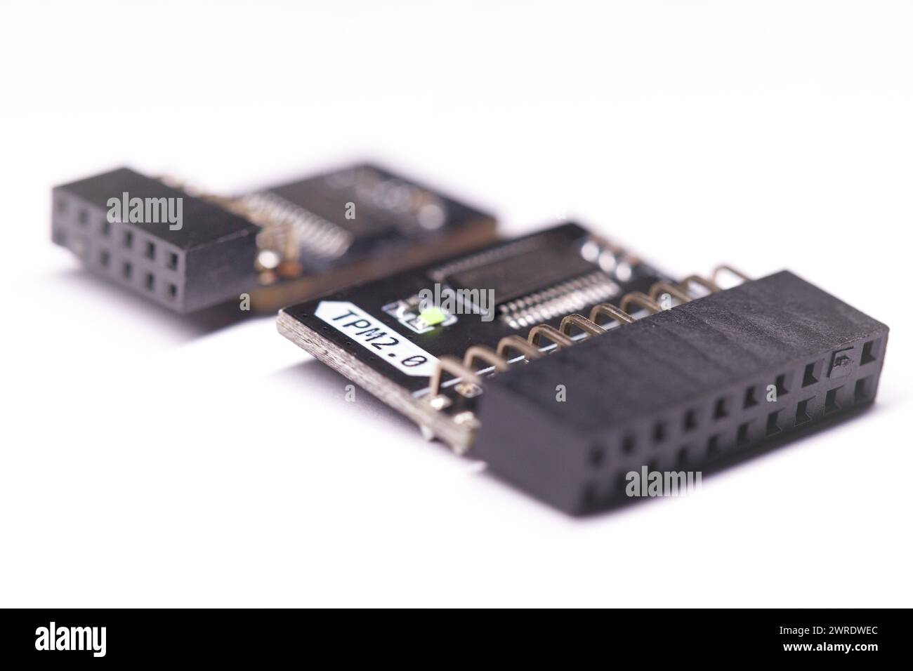 Due tipi di chip modulo TPM per schede madri Foto Stock