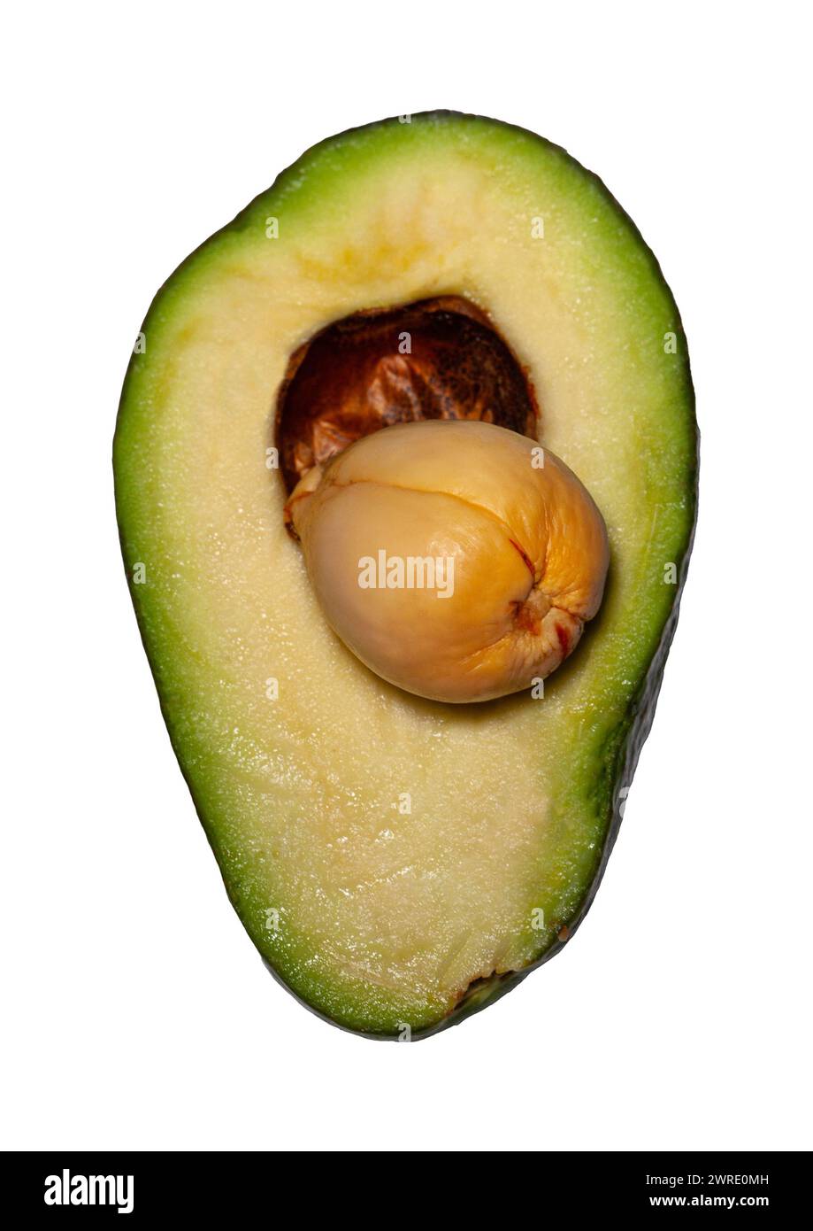 Raccolta di avocado isolata su bianco. Avocado Half Clipping Path. Riprese macro in studio avocado Foto Stock