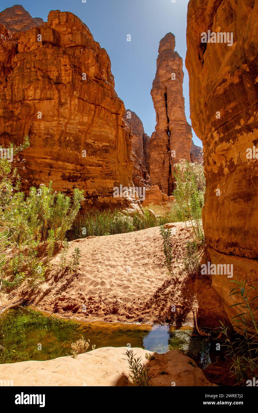 Paesaggio del canyon Essendilene nel deserto del Sahara, Algeria. Una vista sul fondo del canyon con l'acqua della Guelta e il sandsto rosso Foto Stock