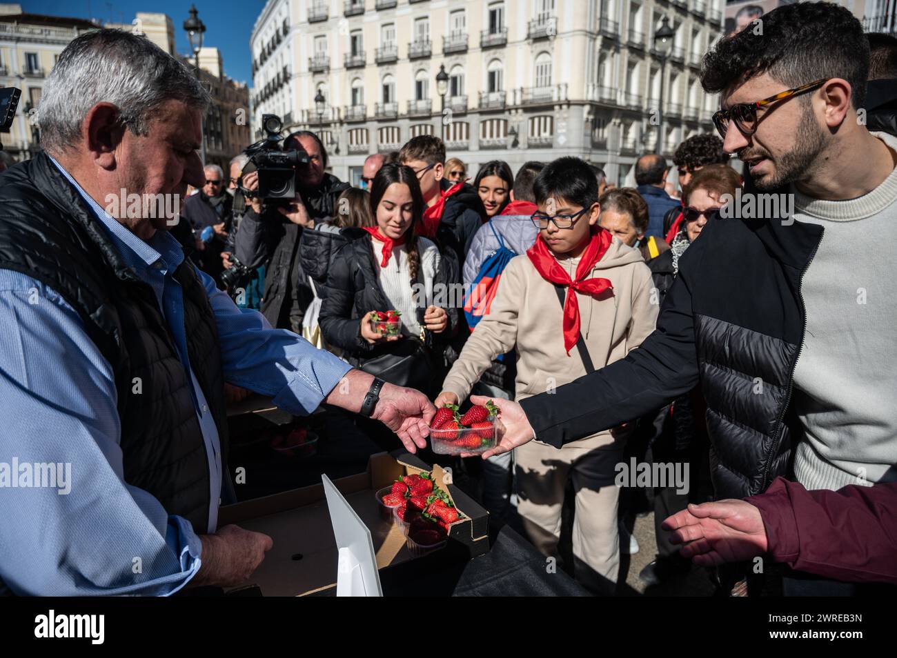 Madrid, Spagna. 12 marzo 2024. L'Unione dei piccoli agricoltori e allevatori di Huelva (UPA) regalano gratuitamente più di 2.000 vasche di fragole di Huelva nell'ambito della campagna: "mangio fragole di Huelva perché sono sane, sicure e sostenibili" con l'obiettivo di valorizzare il prodotto e promuoverne il consumo dopo l'allarme sanitario dovuto al rilevamento dell'epatite A nelle fragole importate dal Marocco qualche giorno fa. Crediti: Marcos del Mazo/Alamy Live News Foto Stock