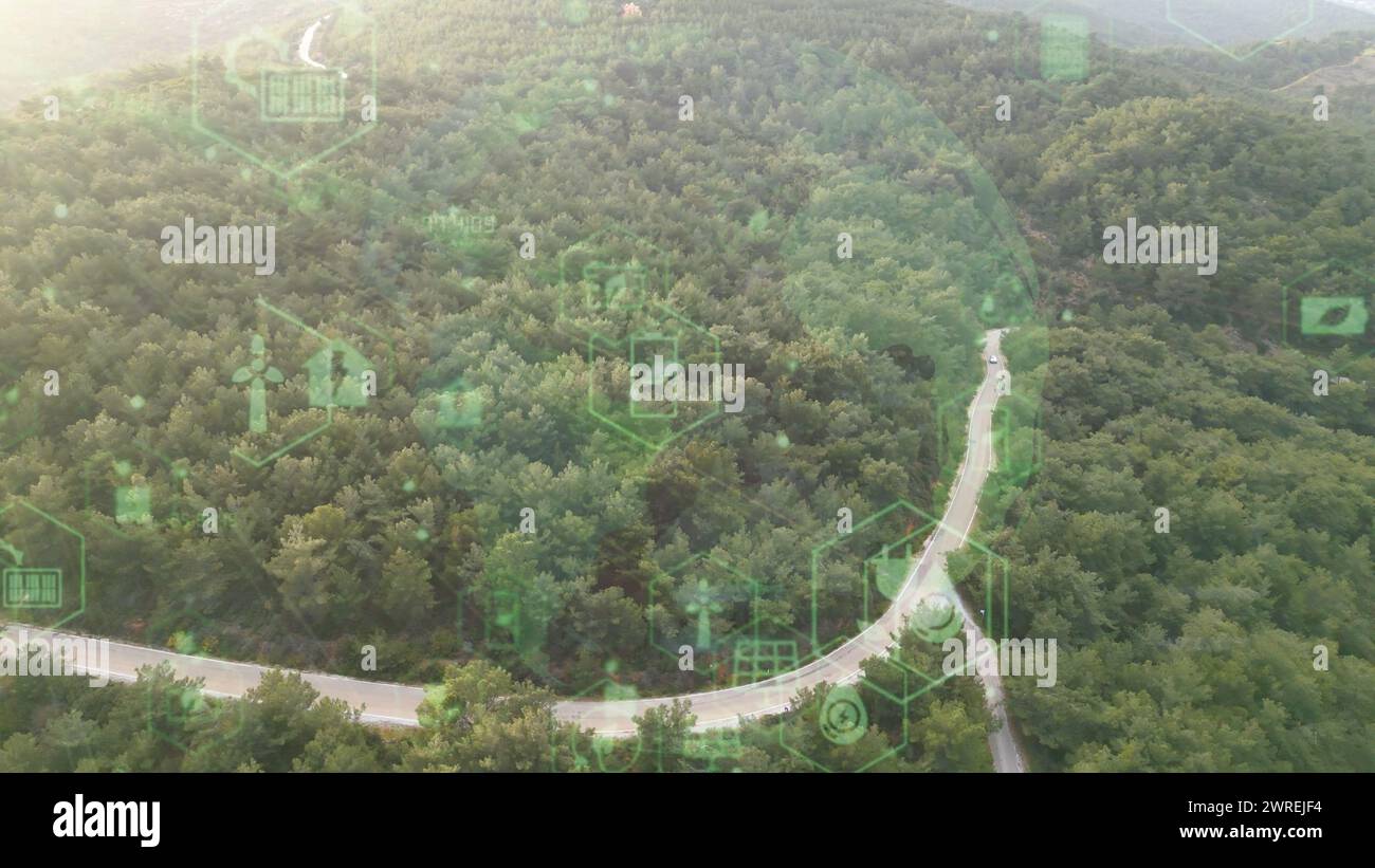 Vista aerea della foresta verde e concetto di tecnologia ambientale. Tecnologia verde. Ecologia. Trasformazione verde. GX. SDG. Video 4K di alta qualità Foto Stock