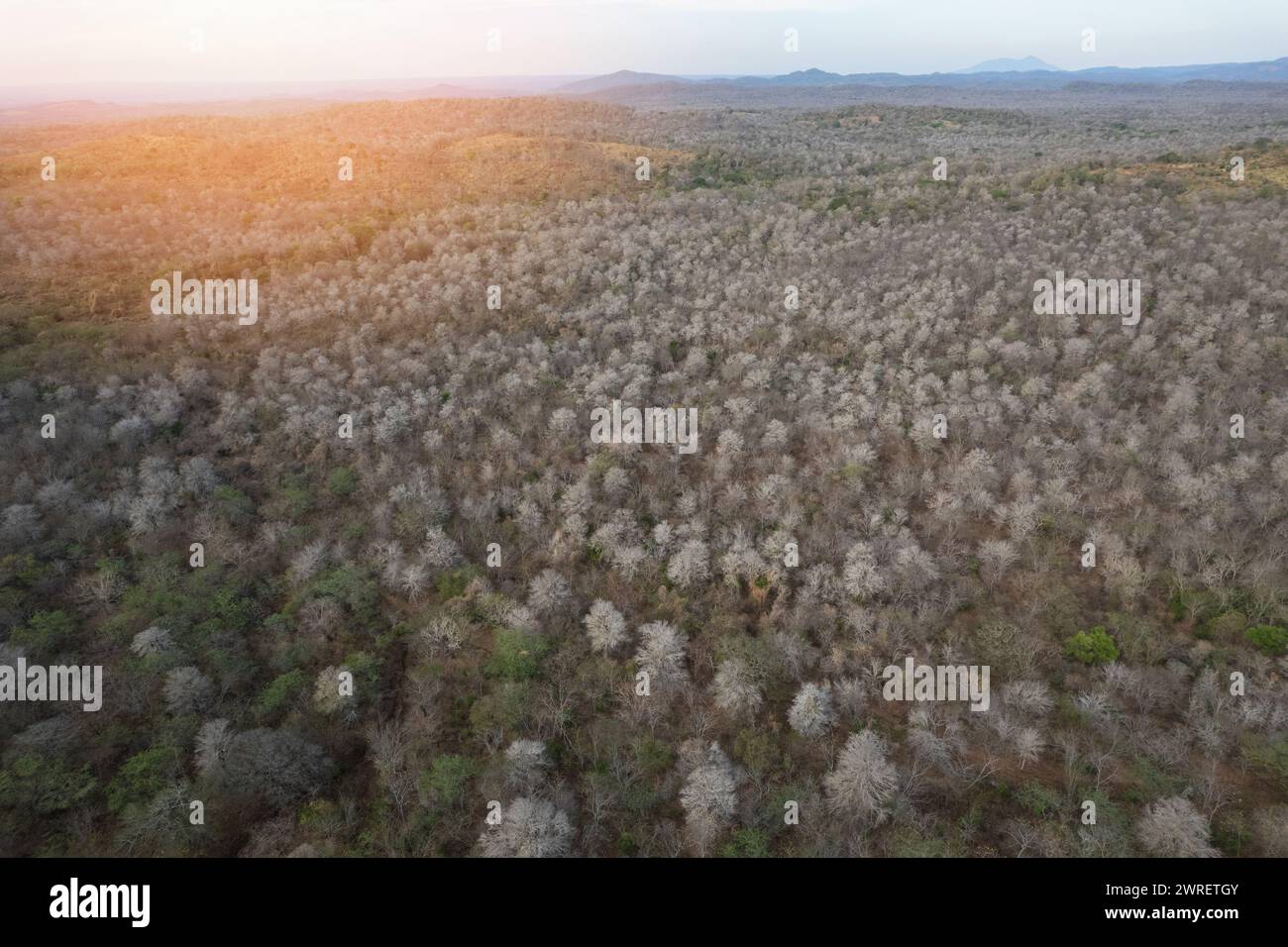 Paesaggio dell'america centrale nella stagione secca veduta aerea dei droni Foto Stock
