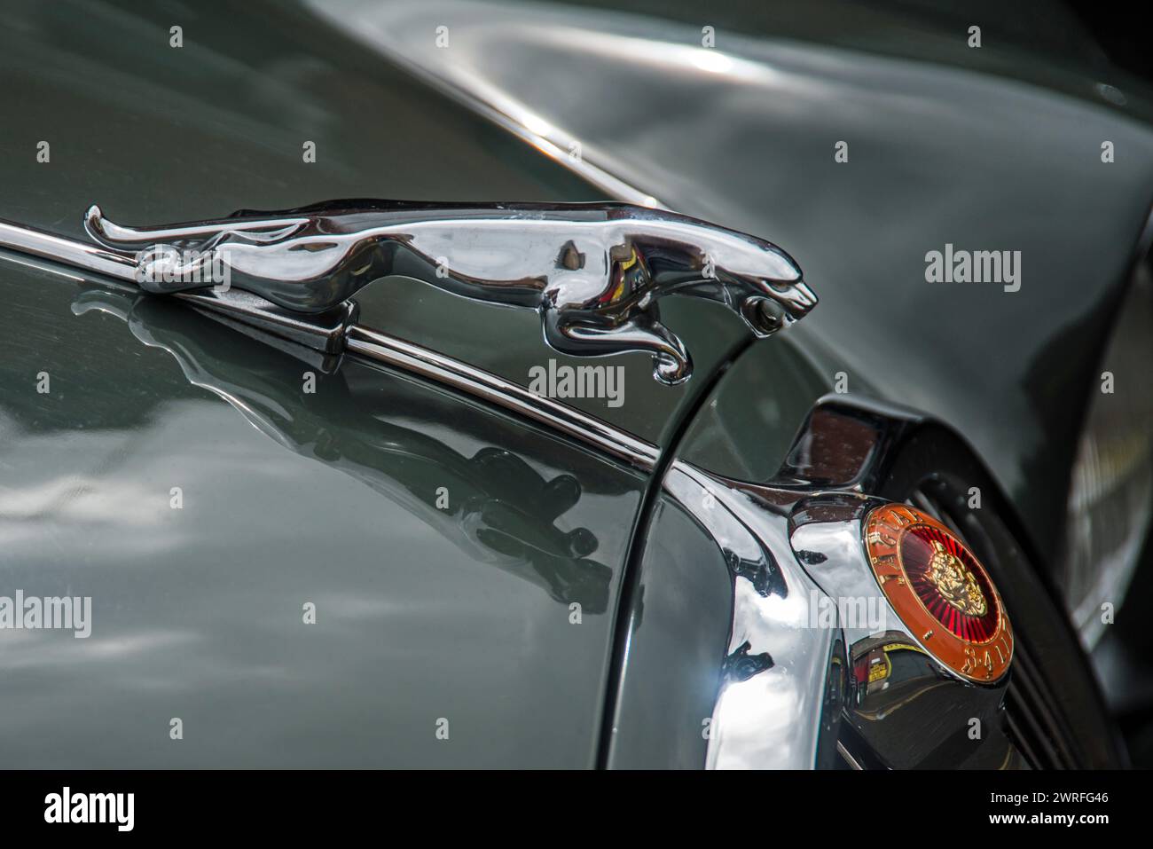 Emblema cofano/cofano Jaguar cromato Foto Stock