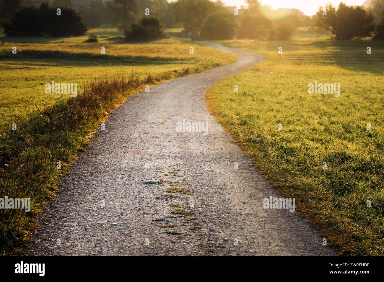 Sentiero di ghiaia lungo prato alpino e paesaggio rurale in estate, in prospettiva in diminuzione Foto Stock