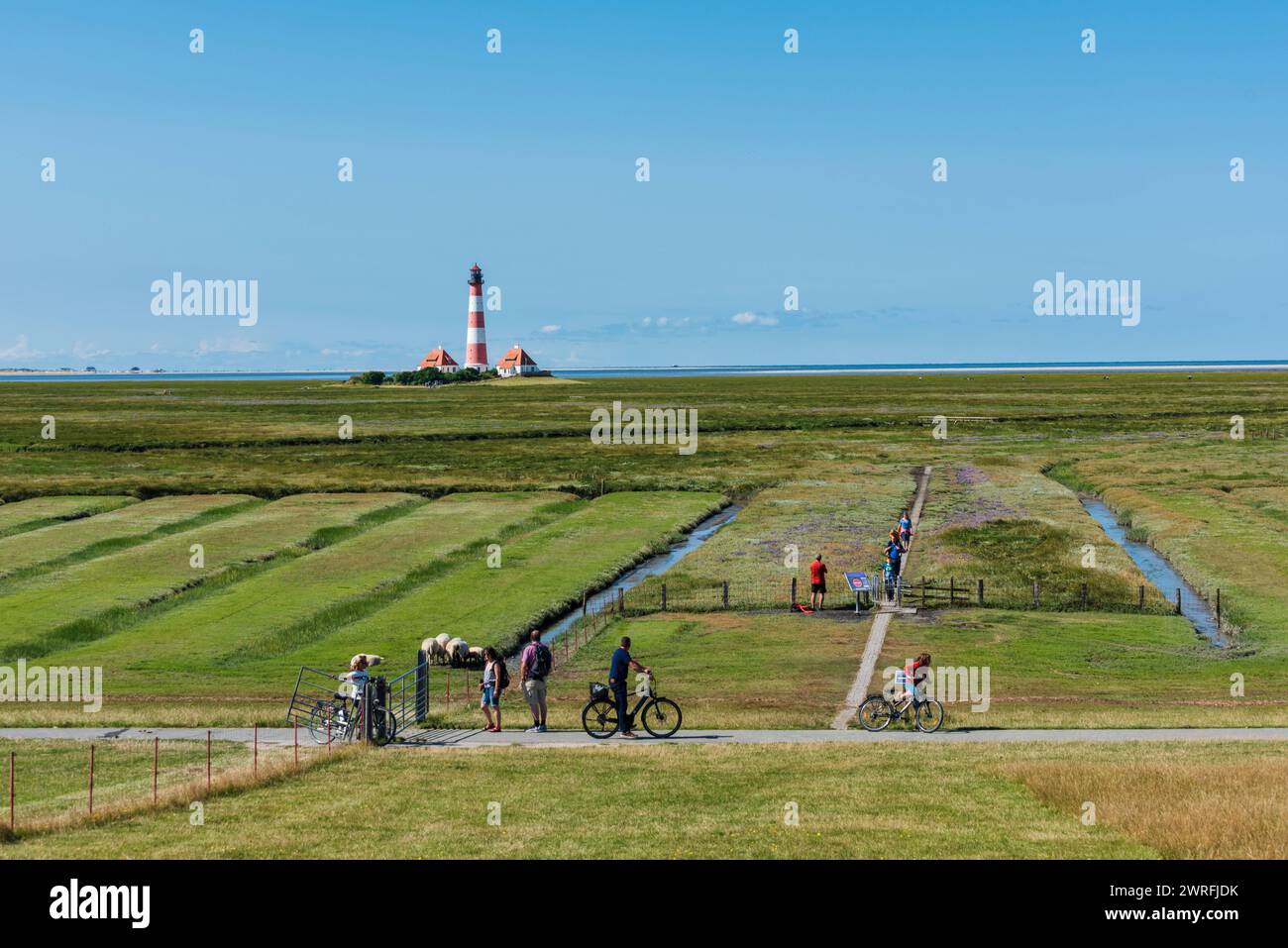 Leuchtturm von Westerhever an der Nordseeküste auf der Halbinsel Eiderstdt nello Schleswig-Holstein, Radfahrer und Wanderer im Vordergrund *** Faro di Westerhever sulla costa del Mare del Nord sulla penisola di Eiderstdt nello Schleswig Holstein, ciclisti ed escursionisti in primo piano Foto Stock