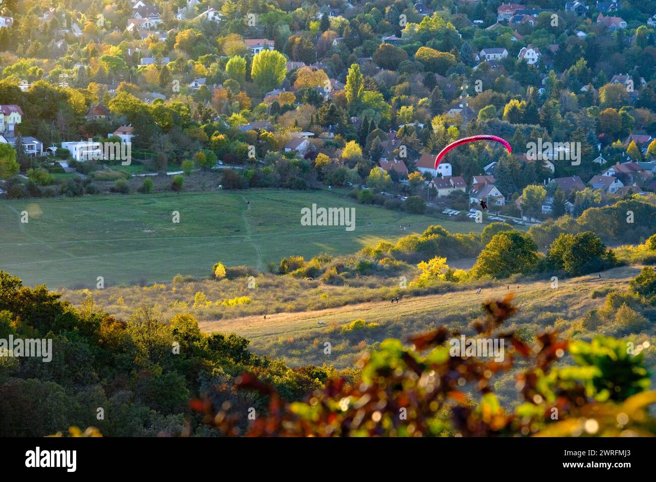 Parapendio sorvolando un paesaggio rurale con un'area residenziale al tramonto, catturando la tranquillità dell'avventura all'aria aperta Foto Stock