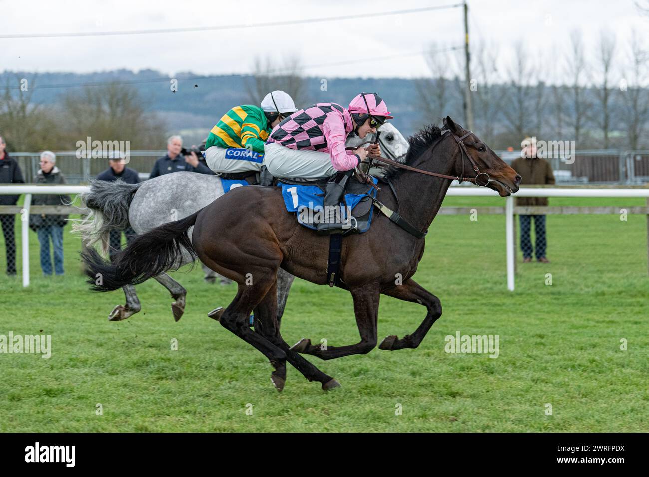 Quinta gara a Wincanton, 3 febbraio 2022 - Peckmoor Farm Lodges' Novices' hurdle Foto Stock