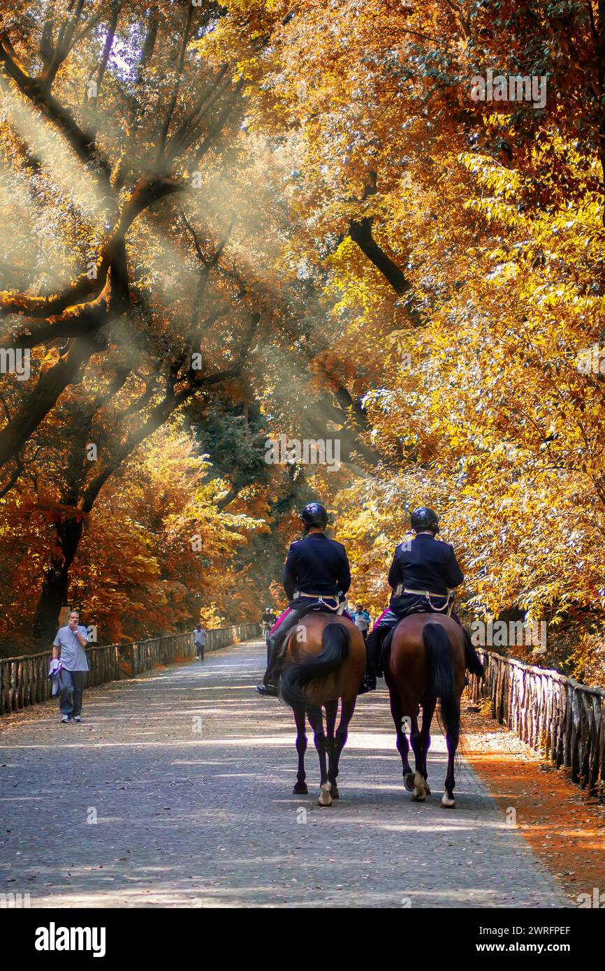 Autunno nel bosco di Capodimonte Foto Stock