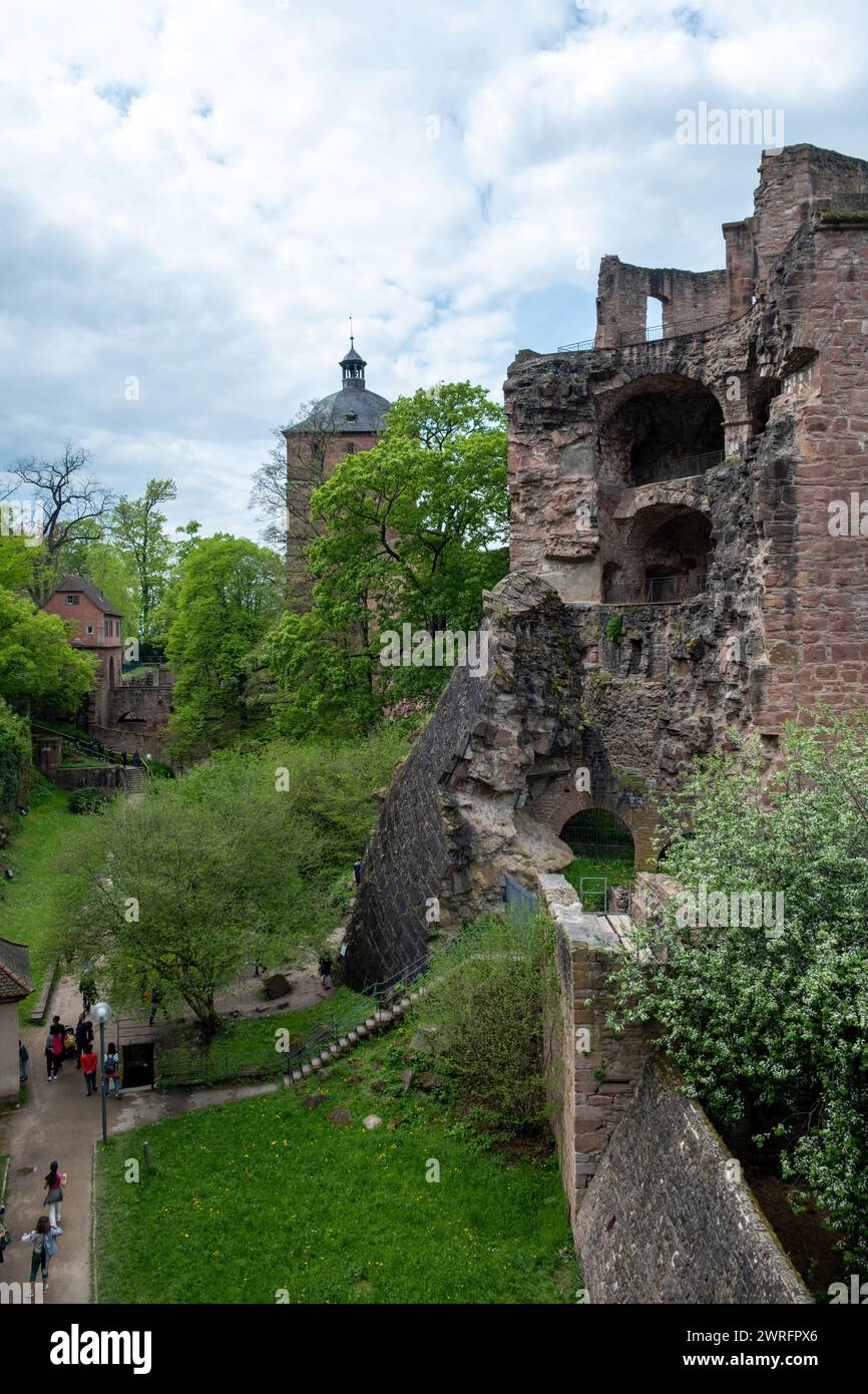 Palazzo di Heidelberg destinazione popolare in Germania, castello nella natura. Le persone ammirano le antiche mura medievali tedesche in mattoni e le famose rovine. Verticale Foto Stock
