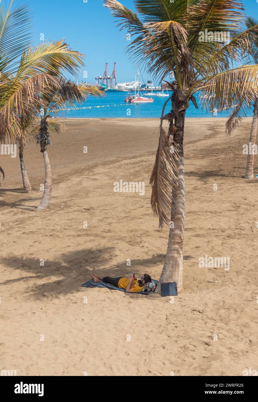 Persona sotto la spiaggia del palmo che guarda il telefono cellulare. Foto Stock