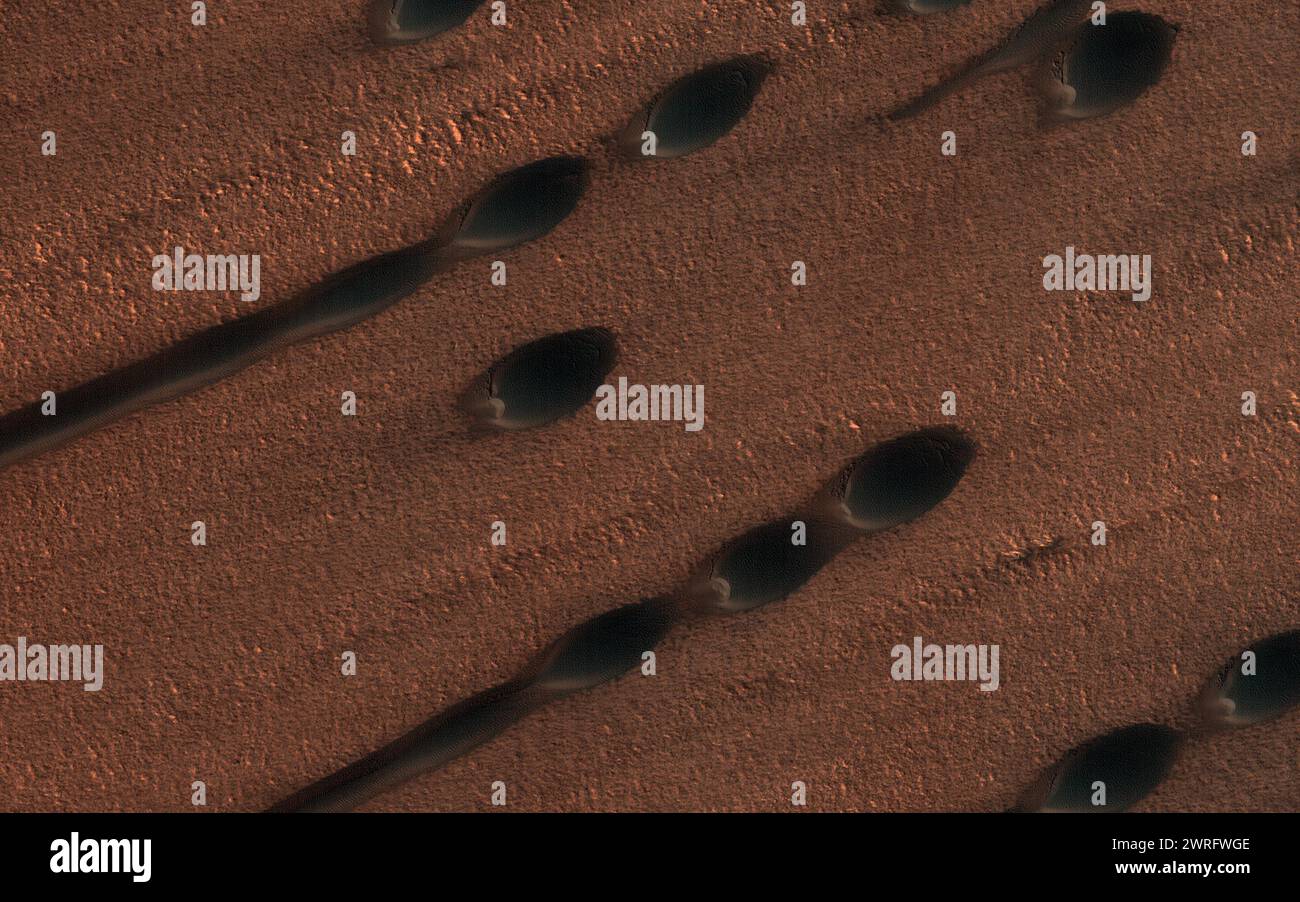 Superficie Marte. 16 gennaio 2020. Questa immagine mostra due tipi di dune di sabbia su Marte. I piccoli punti sono chiamati dune barchan, e dalla loro forma possiamo dire che sono al contrario. Le dune sottovento sono lunghe e lineari. Questi due tipi di dune mostrano ciascuno la direzione del vento in modi diversi: I barchi hanno un pendio ripido e corni a forma di mezzaluna che puntano verso il basso, mentre le dune lineari sono allungate lungo la direzione del vento principale. Le dune lineari, tuttavia, in genere indicano un regime di vento con almeno due diversi venti prevalenti, che estendono la sabbia lungo la loro media diretta Foto Stock