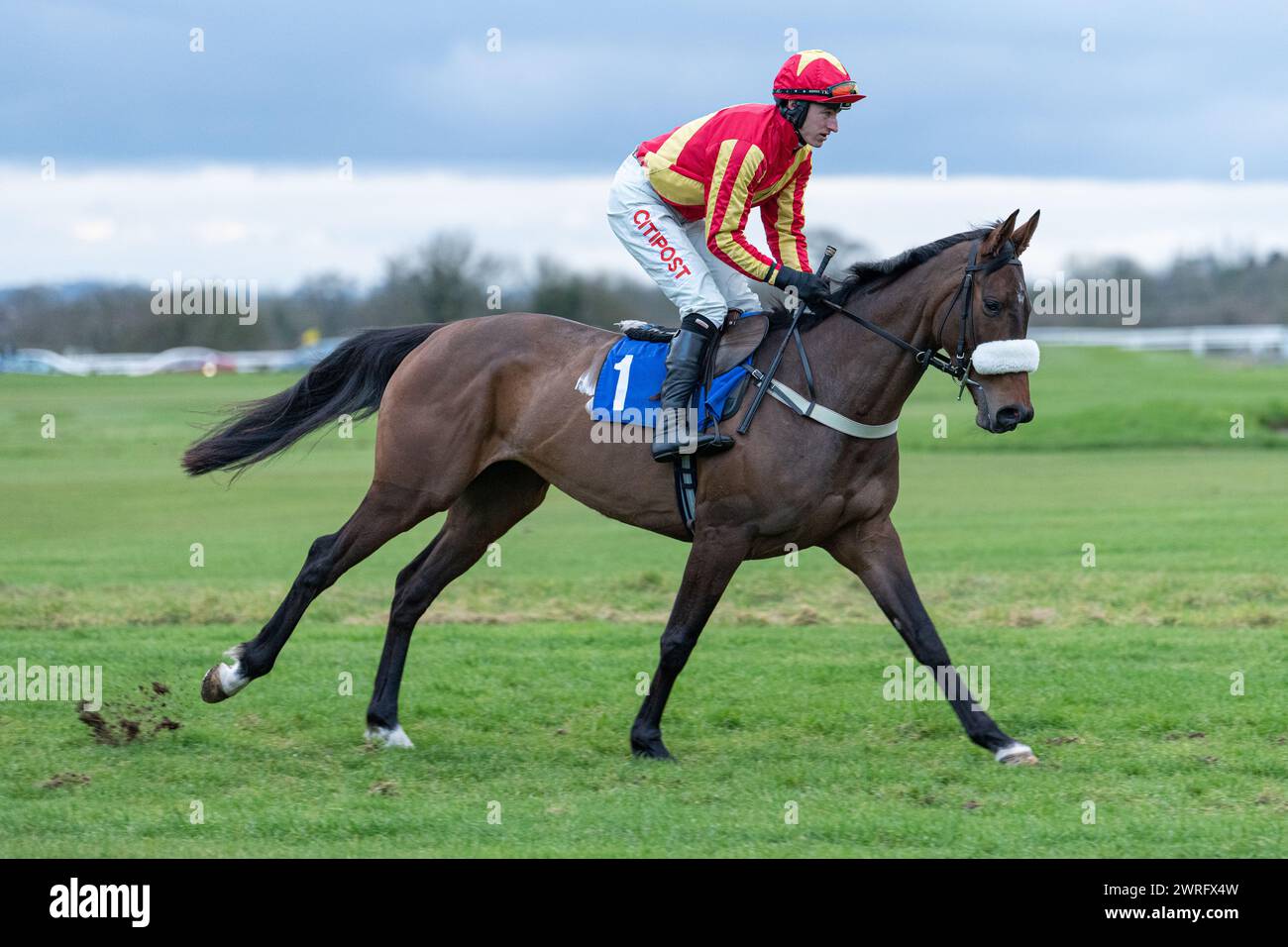 Mares' Open National Hunt Flat Race a Wincanton, 3 febbraio 2022 Foto Stock