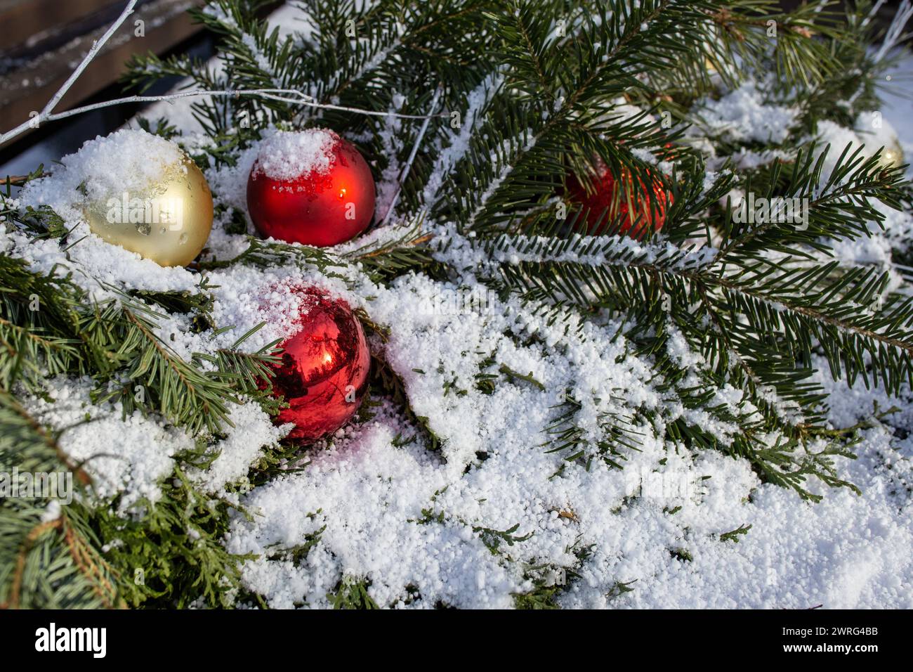 Baubles rosso dell'albero di natale con rami di abete e vera neve su tavole di legno Foto Stock