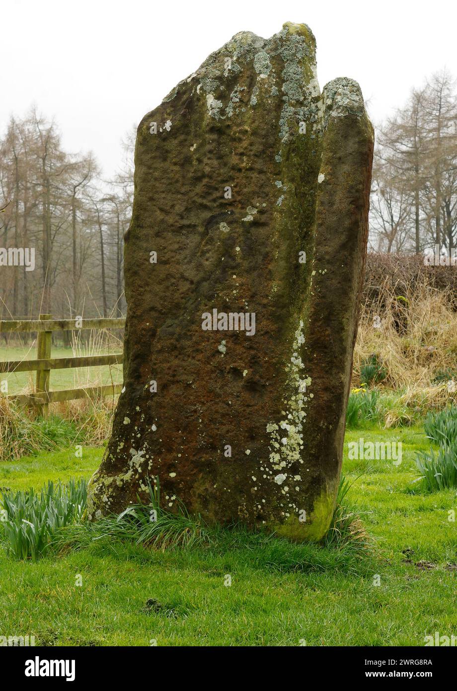 The Matfen - Standing Stone / Menhir Foto Stock