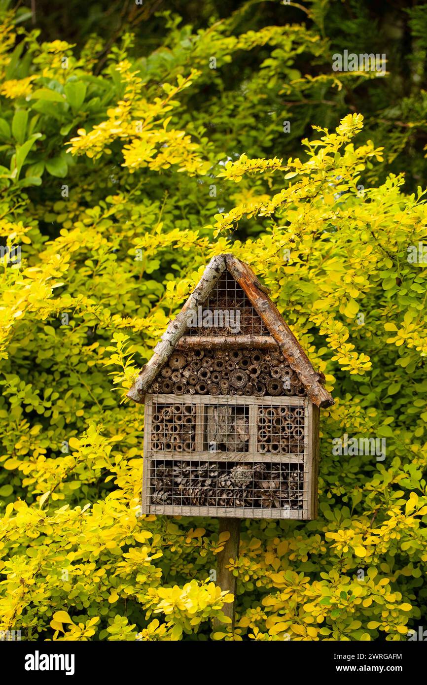 Una casa di insetti è un hotel per insetti che fornisce riparo nel giardino estivo tra i fiori Foto Stock