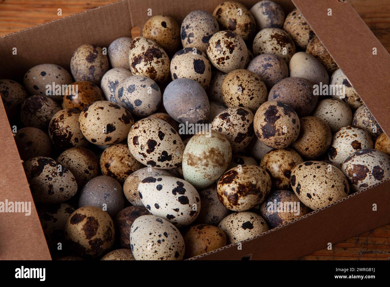 Bellissime, colorate e fresche uova di quaglia in una scatola di cartone Foto Stock