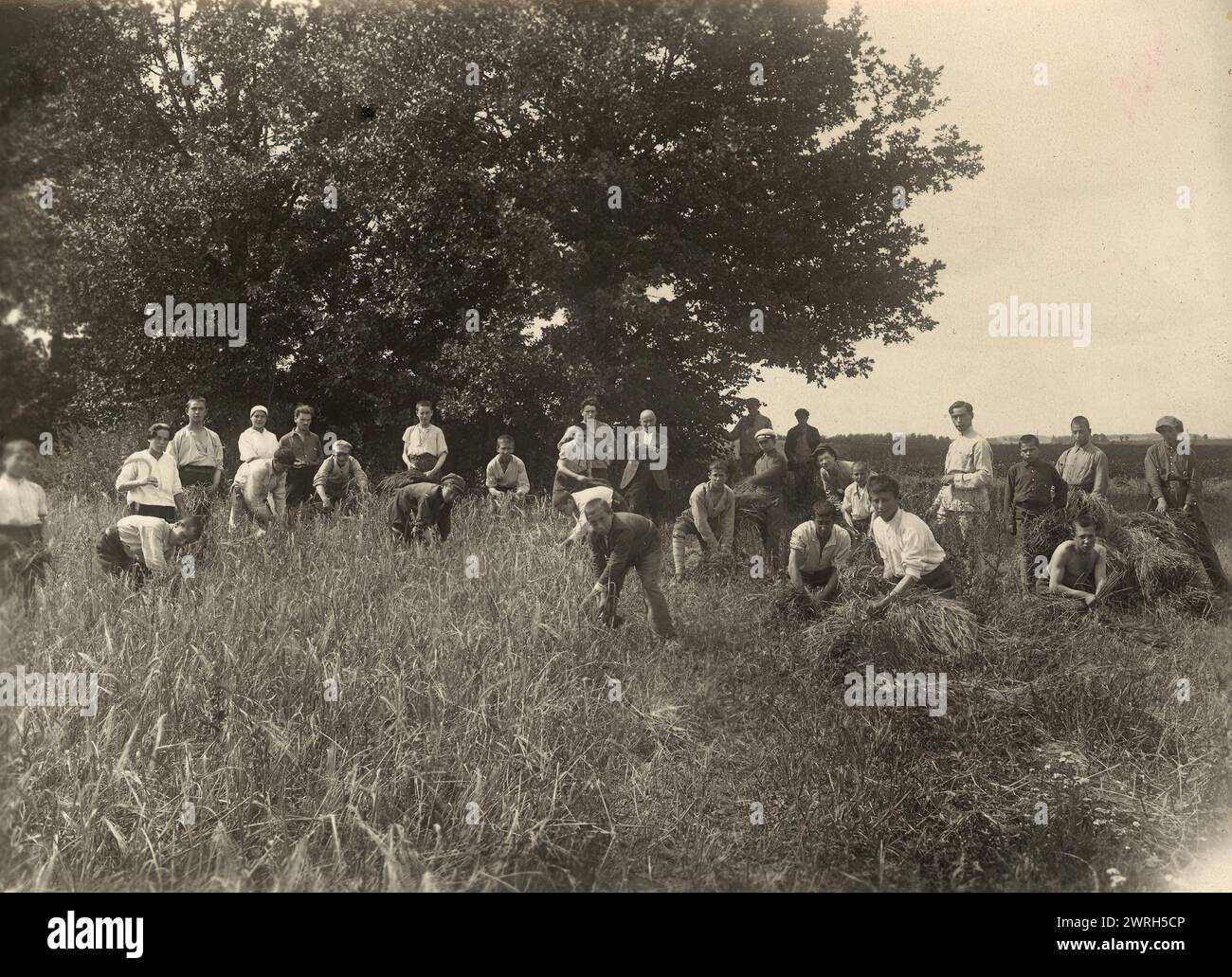 Jewish Pedagogical College and Agricultural School - at Field work / Barley is being Reaped, Minsk, 1922-1923. Nella prima parte dell'era di Stalin, il Cremlino istituì un nuovo territorio amministrativo nell'Estremo Oriente sovietico - la regione autonoma ebraica - per servire come patria ebraica. La capitale della regione era la città di Birobidzhan. Questo album include 274 fotografie dei primi anni di Birobidzhan, a partire dalla fine degli anni '1920 Biblioteca nazionale della Russia Foto Stock