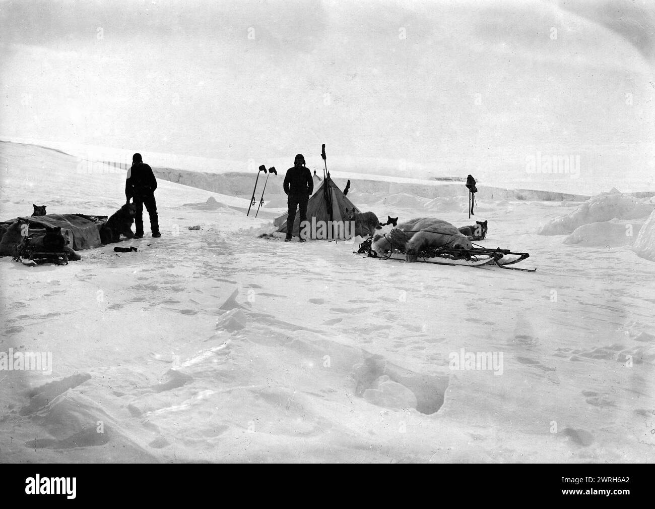 Membri di una spedizione Sled vicino alla loro tenda, 1913. Da una collezione composta da un album e singole fotografie dall'archivio di famiglia del geologo Mikhail Alekseevich Pavlov (1884-1938). La collezione raffigura una spedizione intrapresa dal tenente anziano Georgii Iakovlevich Sedov (1877-1914) negli anni 1912-14. Sedov, la cui salute stava già peggiorando quando partì per il palo in slitta all'inizio del 1914, morì prima di raggiungere il suo obiettivo. I membri della spedizione effettuarono comunque un'ampia indagine e osservazioni scientifiche mentre svernavano sulla Novaja Zemlja nel 1912-13 Foto Stock