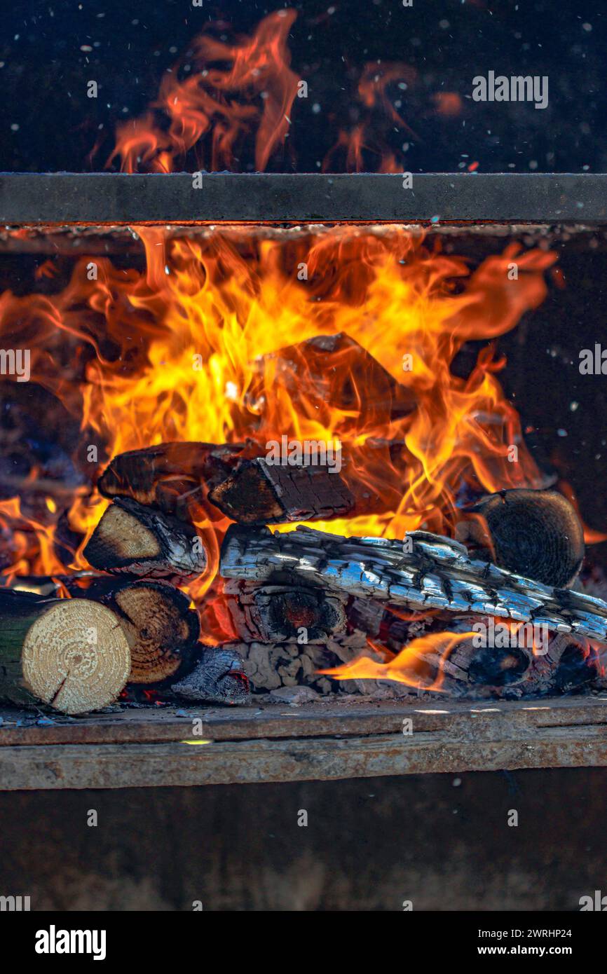 Fuoco da campeggio in una stufa a pietra all'aperto Foto Stock