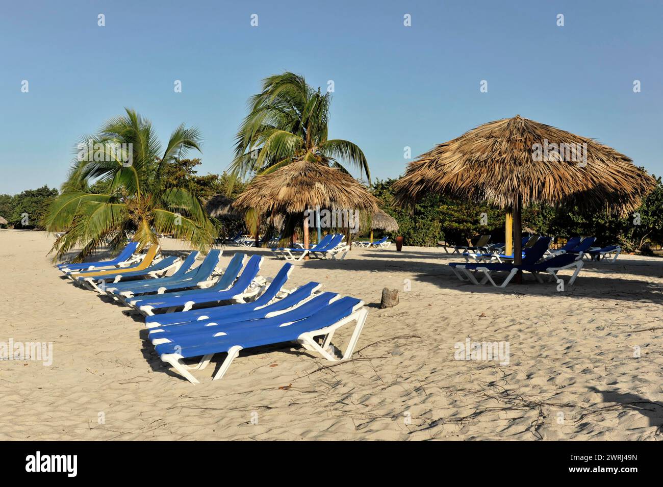 Fila di sdraio vuote sotto ombrelloni su una spiaggia sabbiosa con palme, Trinidad, Cuba, America centrale Foto Stock