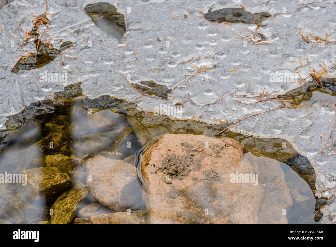 Piccola pietra marrone che si rompe attraverso la superficie dell'acqua nel fiume coperto da un sottile strato di ghiaccio a Taebaek, Corea del Sud Foto Stock