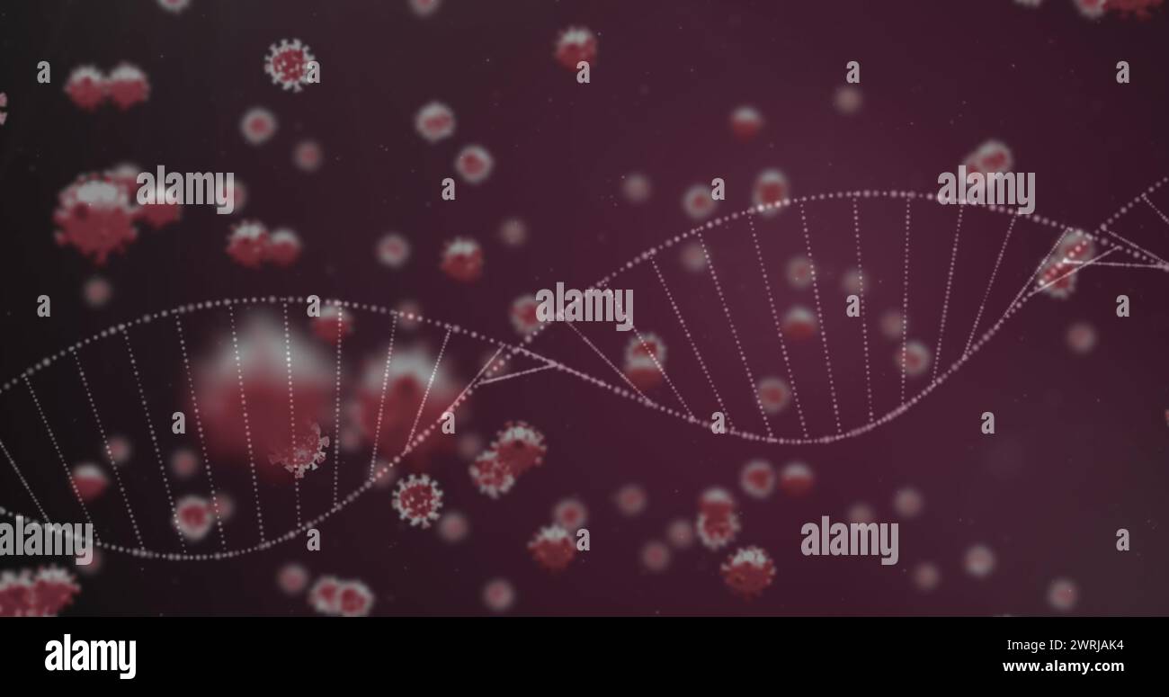 Immagine di 3D coronavirus Covid 19 cellule che si diffondono con filamenti di DNA rotanti Foto Stock
