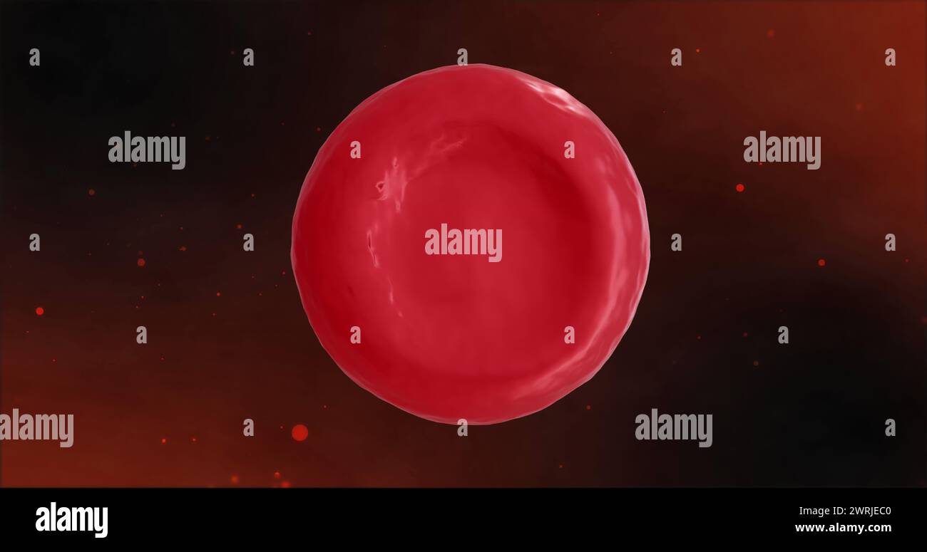 Immagine di microglobuli rossi su sfondo scuro Foto Stock