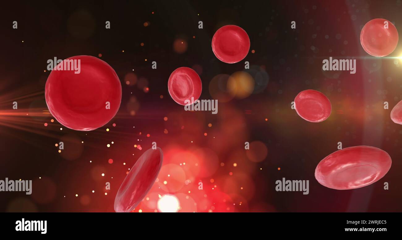Immagine di microglobuli rossi su e macchie su sfondo nero Foto Stock