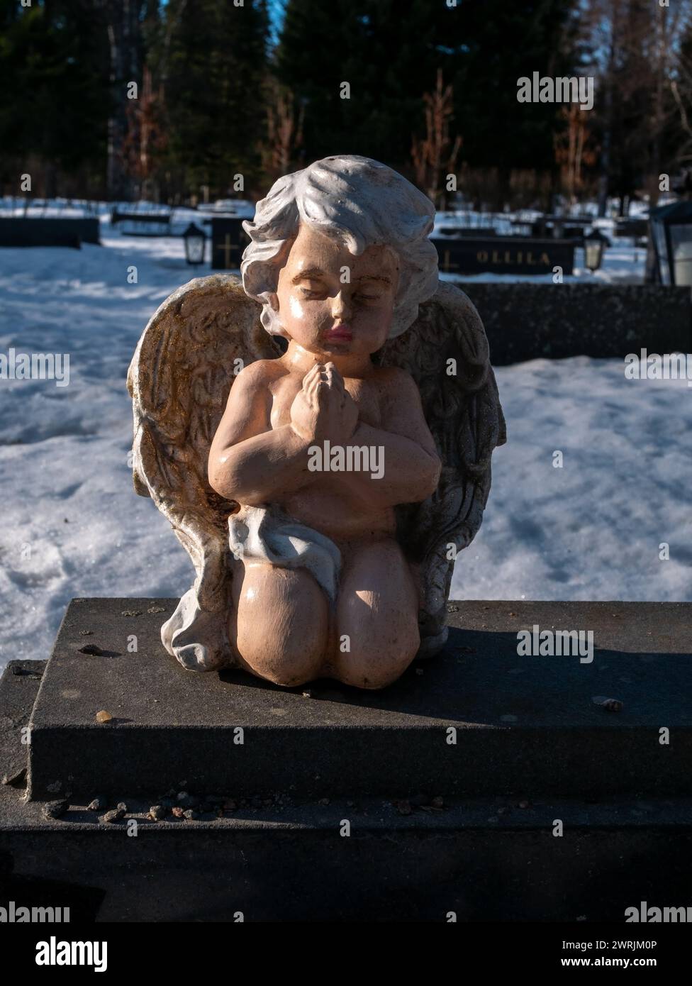 Tomba Famiglia Degli Angeli | Storia E Memoria Di Bologna - Foto 6