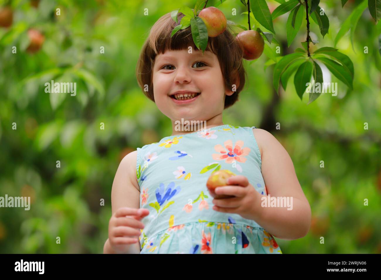 Una bambina carina che gioca sotto gli alberi da frutto, vestita con abiti estivi. Alberi verdi sfocati sullo sfondo. Giocare sotto gli alberi da frutto e mangiare frutta Foto Stock