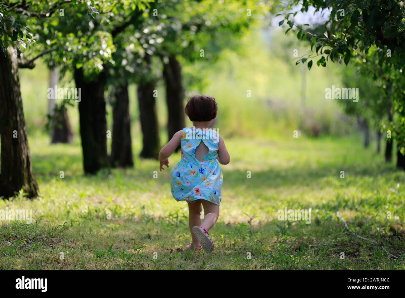 Una bambina carina che gioca sotto gli alberi da frutto, vestita con abiti estivi. Alberi verdi sfocati sullo sfondo. Giocare sotto gli alberi da frutto e mangiare frutta Foto Stock