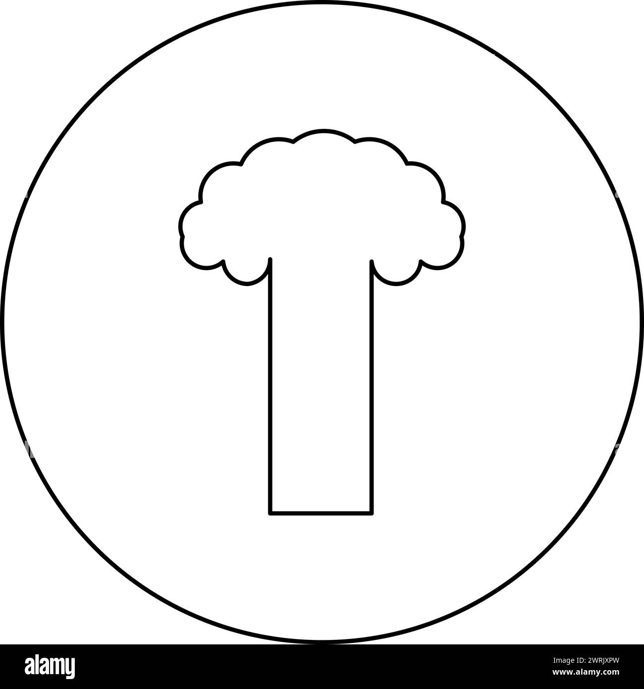 Esplosione nucleare fungo esplosivo distruzione esplosiva icona in cerchio di colore nero vettoriale immagine contorno linea sottile Illustrazione Vettoriale