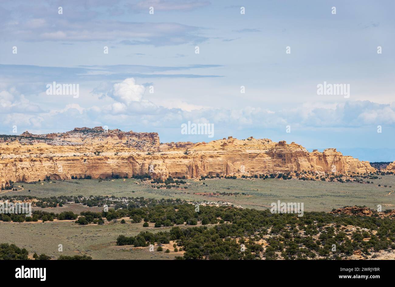 Una lunga linea di scogliere in arenaria giallo pallido si estende lungo l’orizzonte sopra un bacino desertico erboso punteggiato di ginepri scuri a San Rafael Swell, Utah. Foto Stock