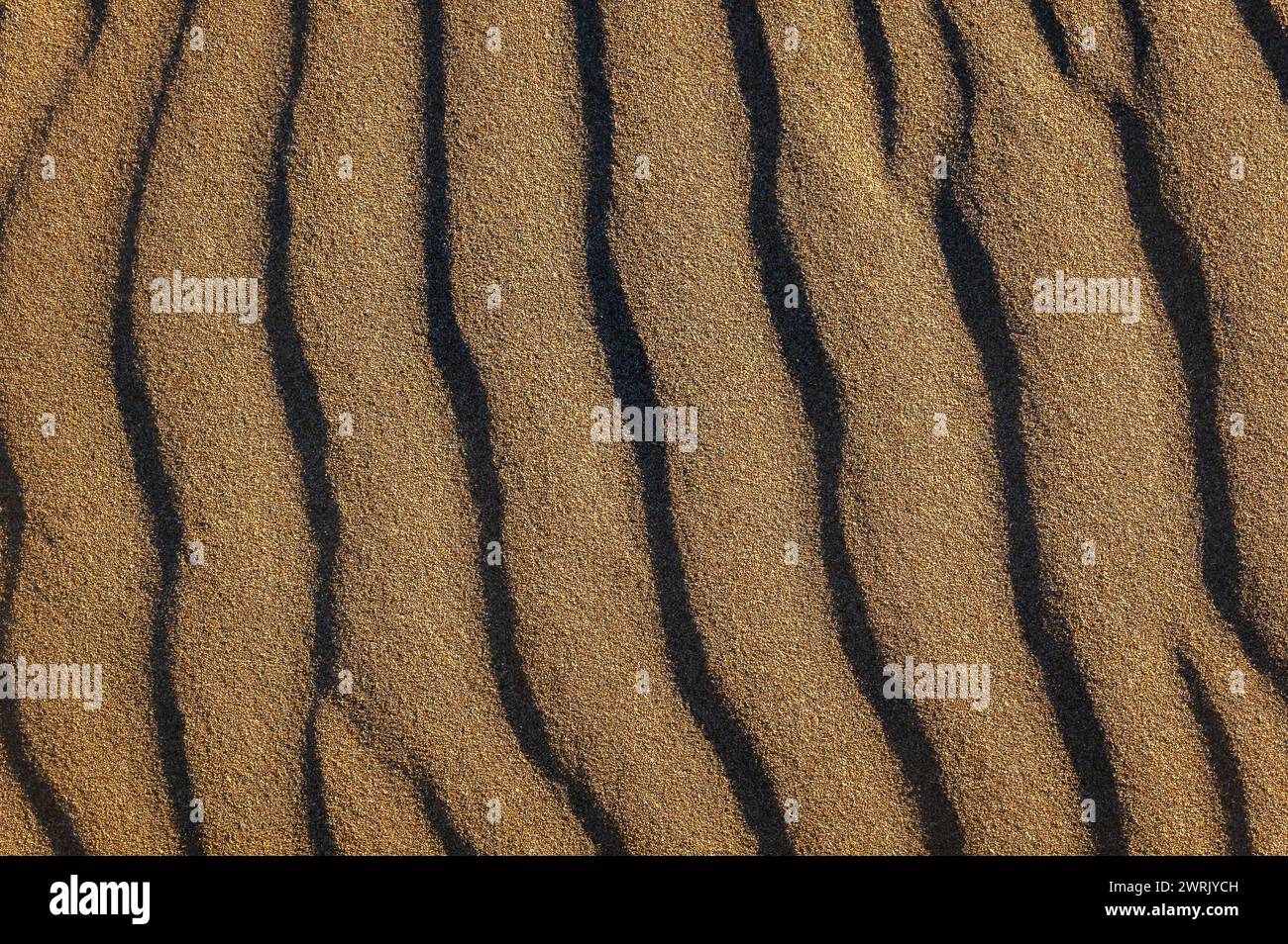 Uno splendido sfondo di dune di sabbia formate dal vento sulla spiaggia, con spazio per il testo Foto Stock