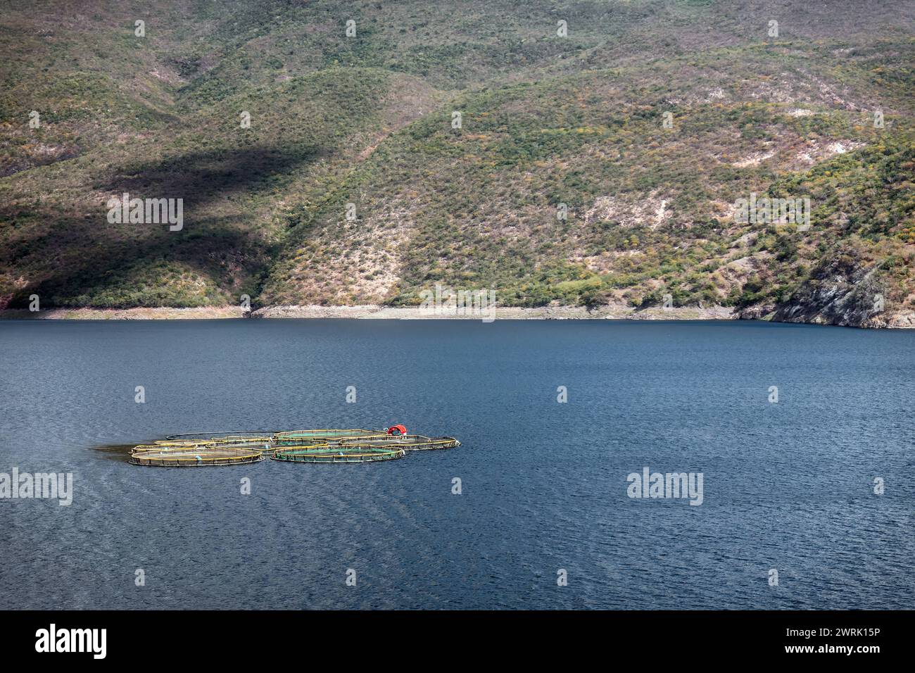 Un allevamento ittico di Julas nel lago Messico, con spazio per il testo Foto Stock