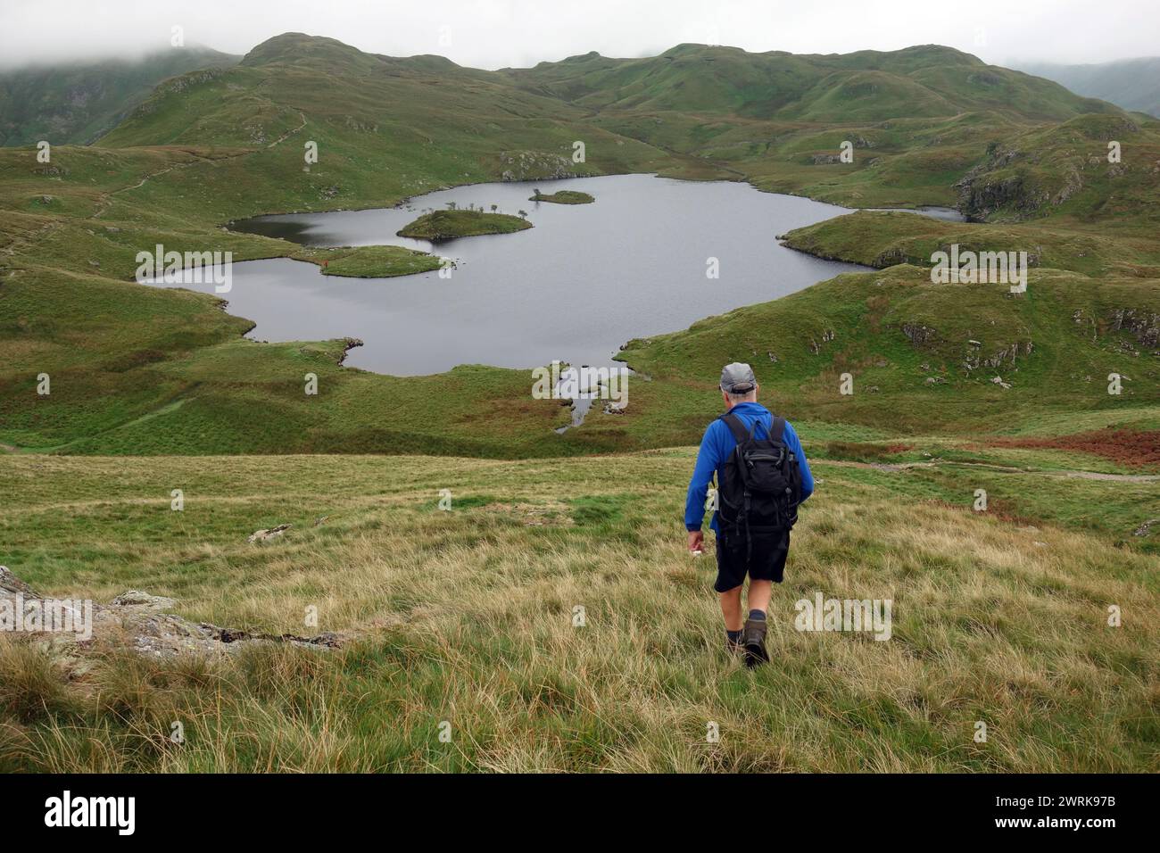 Lone Man (escursionista) camminando fino al Wainwright 'Brock Crags' via Angle Tarn da 'Angletarn Pikes' vicino a Patterdale, Lake District National Park, Cumbria. Foto Stock
