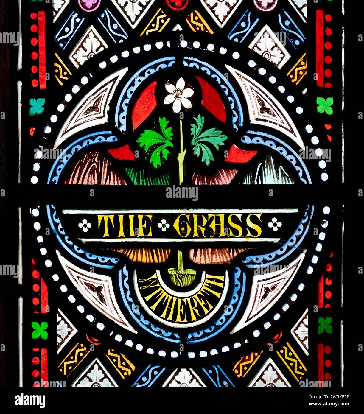 L'erba sfoggia vetrate colorate, St. Peter's Church, Clopton, Northamptonshire, Inghilterra, Regno Unito Foto Stock