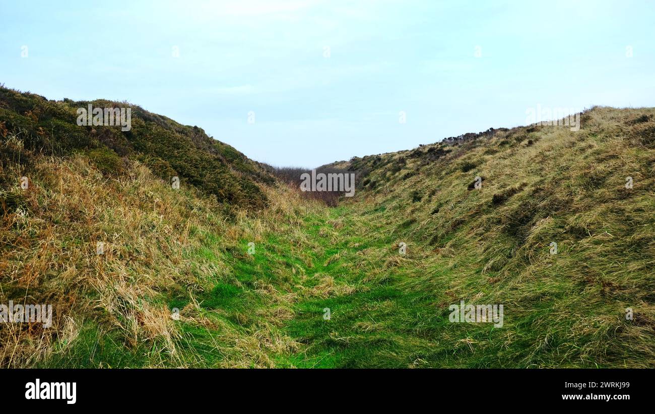 Crane Castle, un forte collinare dell'età del ferro vicino a Basset's Cove sulla costa settentrionale della Cornovaglia, Regno Unito - John Gollop Foto Stock
