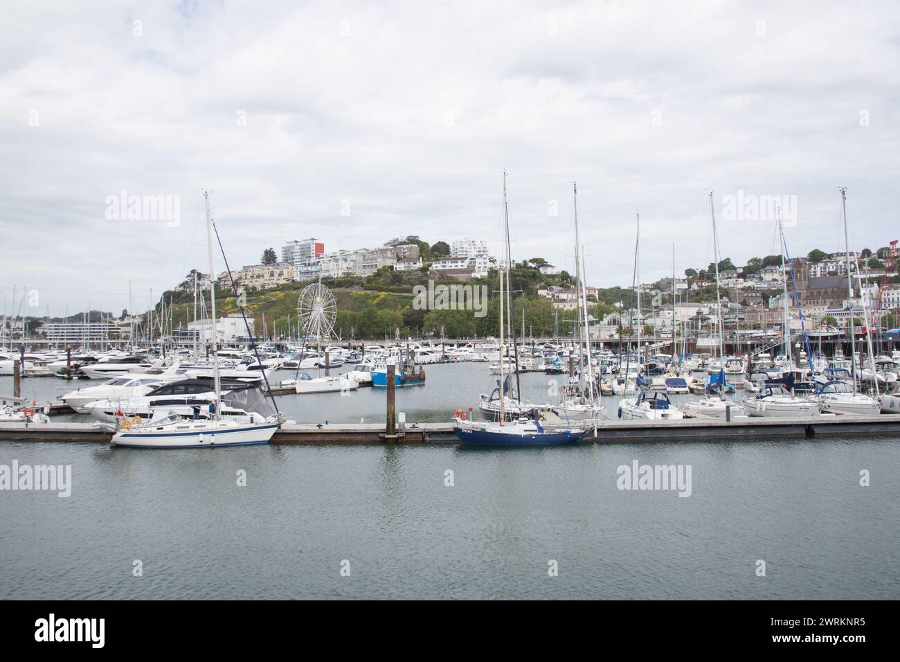 Vista sul porto di Torquay, Devon nel Regno Unito Foto Stock