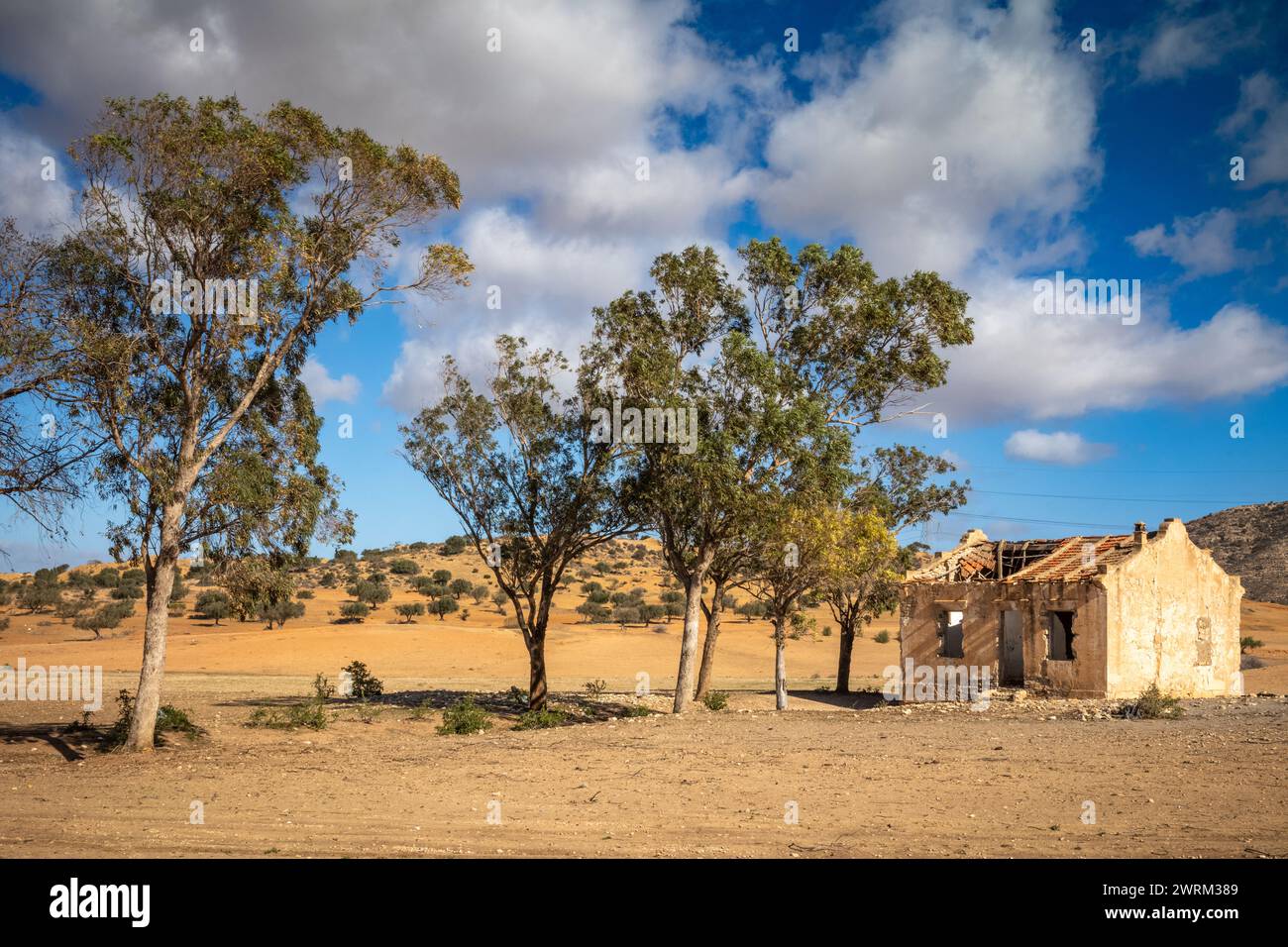 Una fattoria abbandonata e abbandonata e una piccola azienda agricola ad Ain El Batria, Tunisia Foto Stock