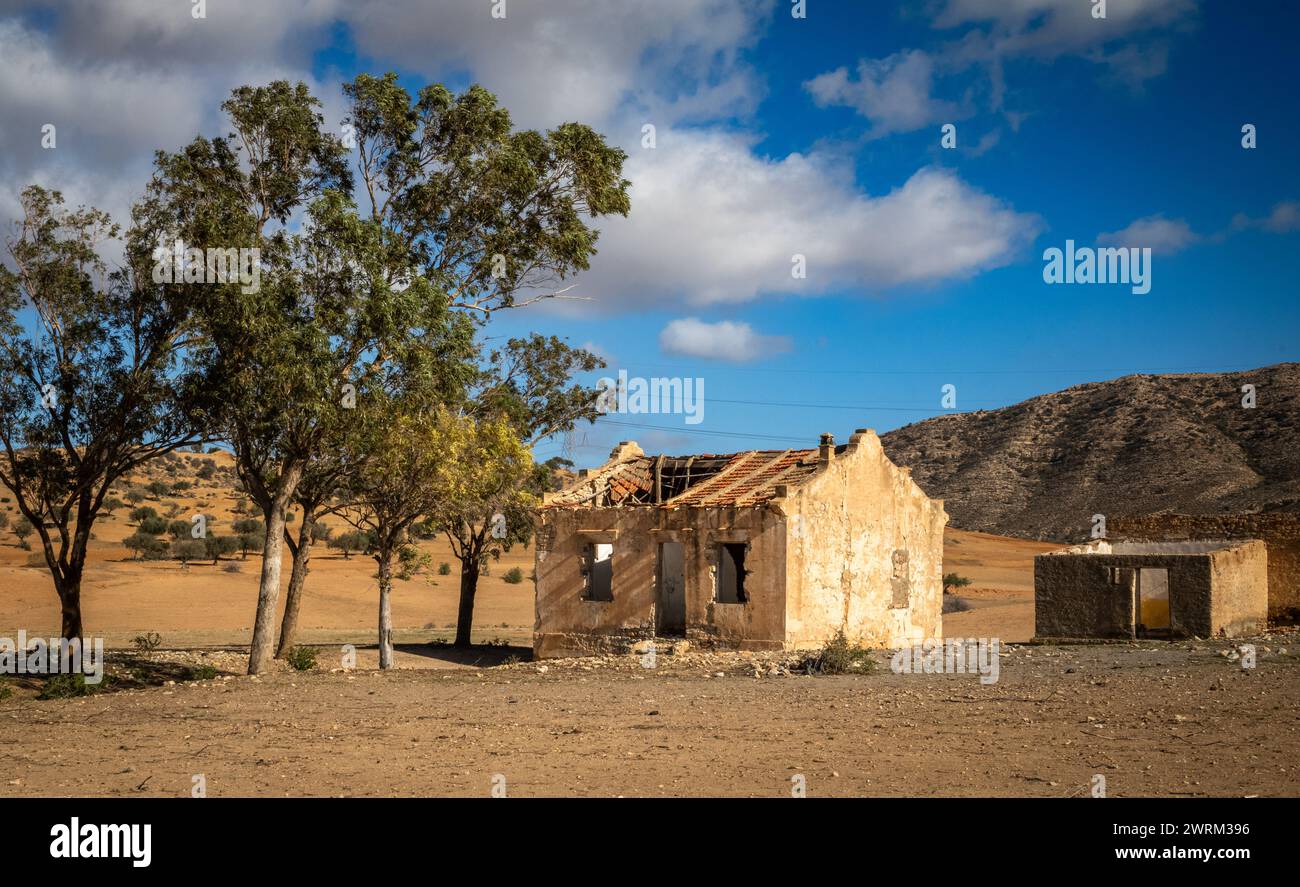 Una fattoria abbandonata e abbandonata e una piccola azienda agricola ad Ain El Batria, Tunisia Foto Stock