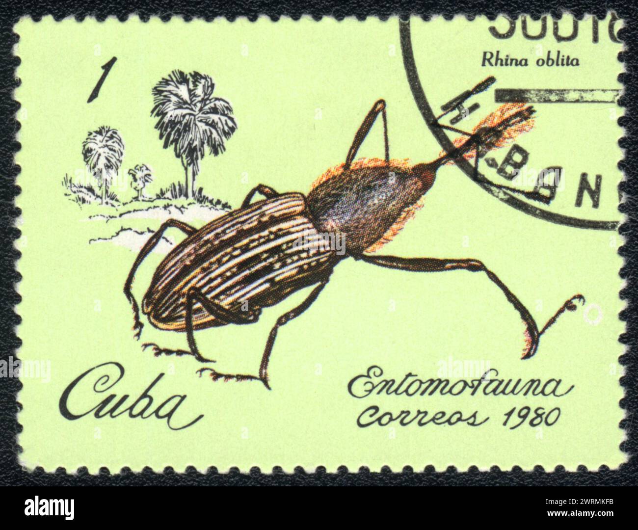 Un francobollo stampato a CUBA mostra l'immagine di uno scarabeo Rhina oblita, della serie - entomofauna, Cuba,1980 Foto Stock