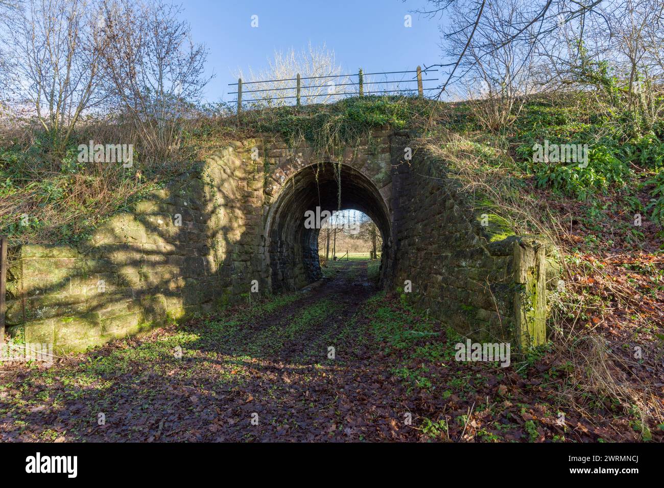 Un ponte ferroviario su un percorso agricolo vicino alla stazione di Stogumber, parte della West Somerset Railway, Inghilterra. Foto Stock