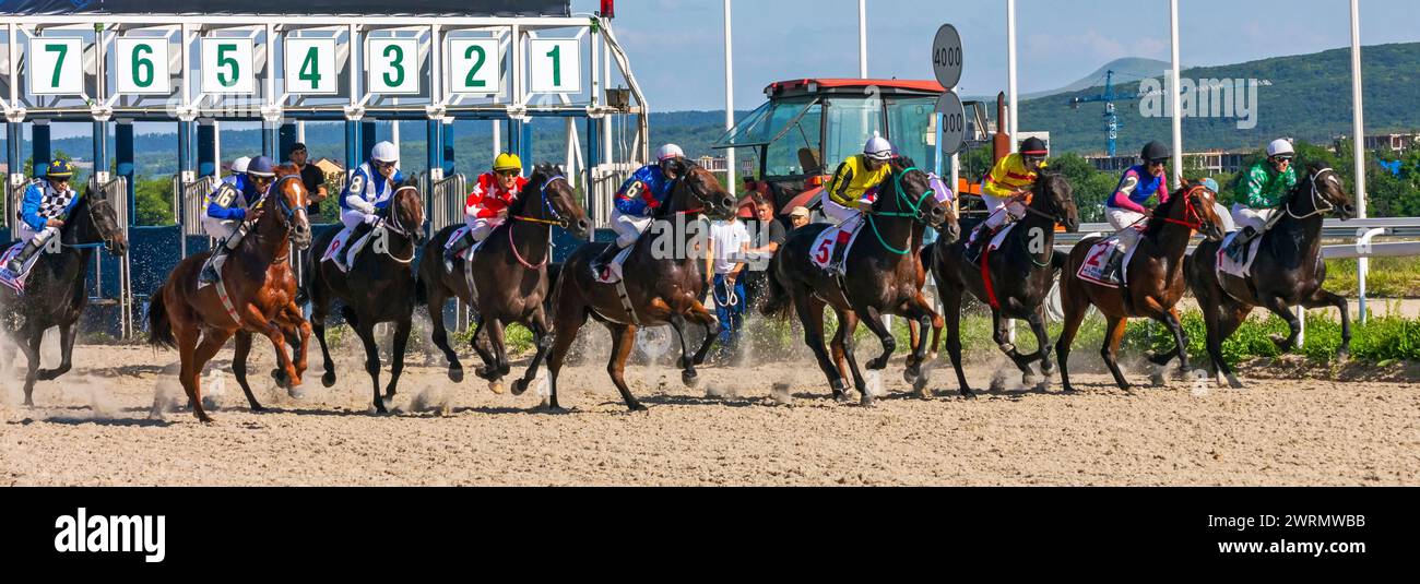 La corsa di cavalli per il premio estivo all’ippodromo di Pyatigorsk, Foto Stock