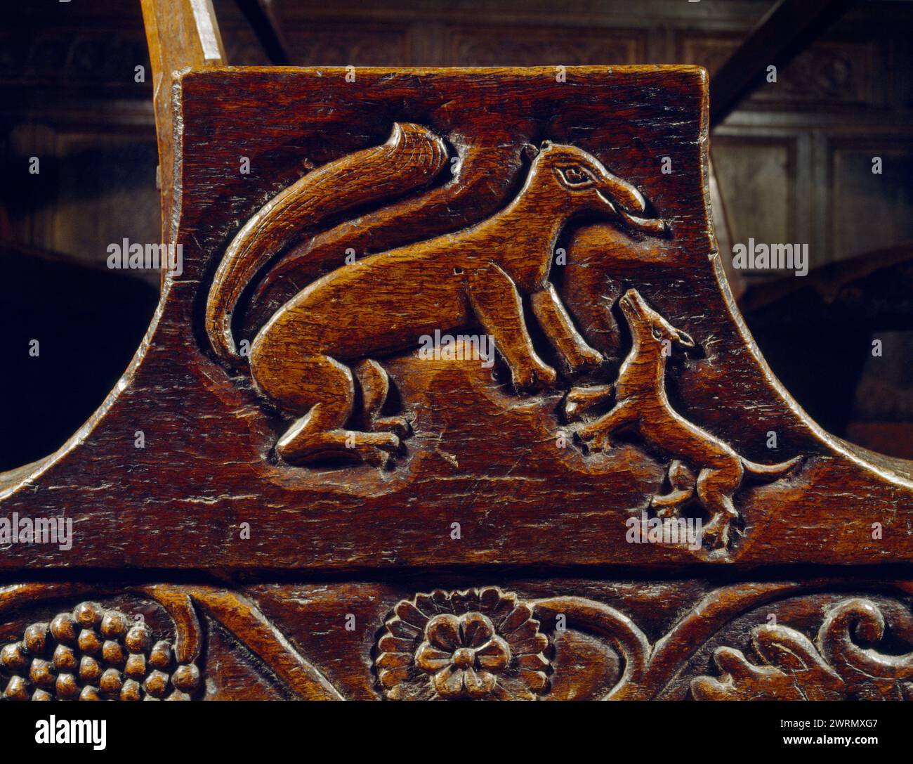 Una panchina intagliata a Rug Chapel, Denbighshire, Galles, Regno Unito, che mostra un animale come un grande scoiattolo o una donnola che si difende contro un cane più piccolo. Foto Stock