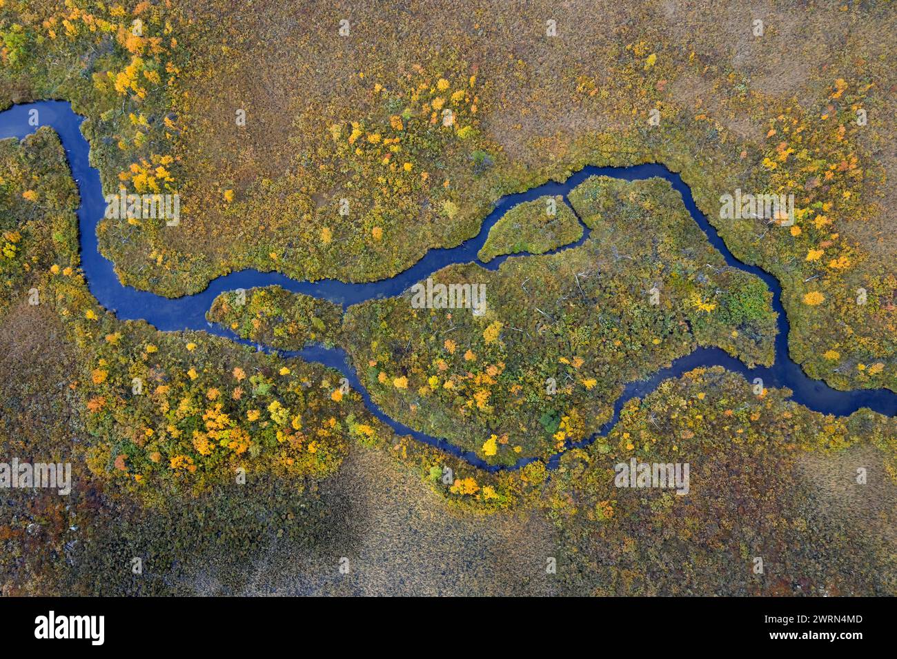 Vista aerea su torrenti serpeggianti nella brughiera in autunno/autunno a Hedmark, Innlandet, Norvegia orientale Foto Stock