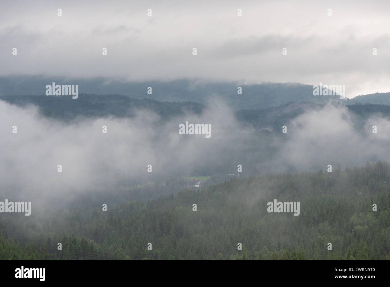 Foggy Day sulle montagne della Norvegia. Foto Stock